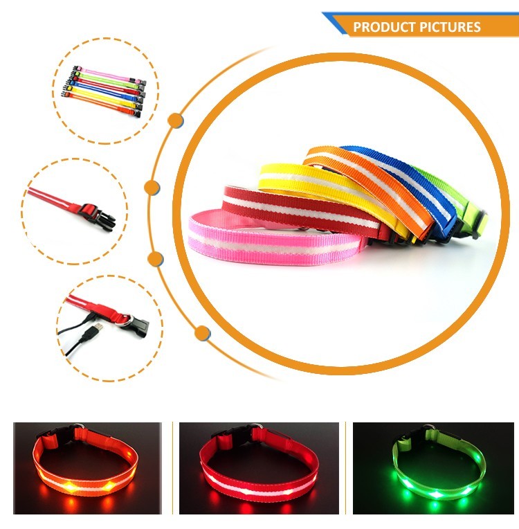 Rechargeable Light-Up LED Dog Belt 4