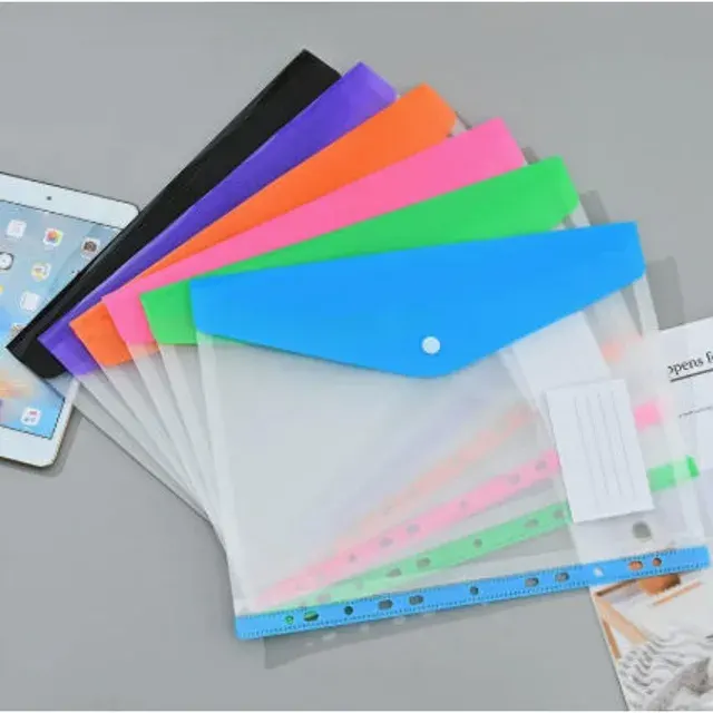 Plastic Sheet Protectors 2