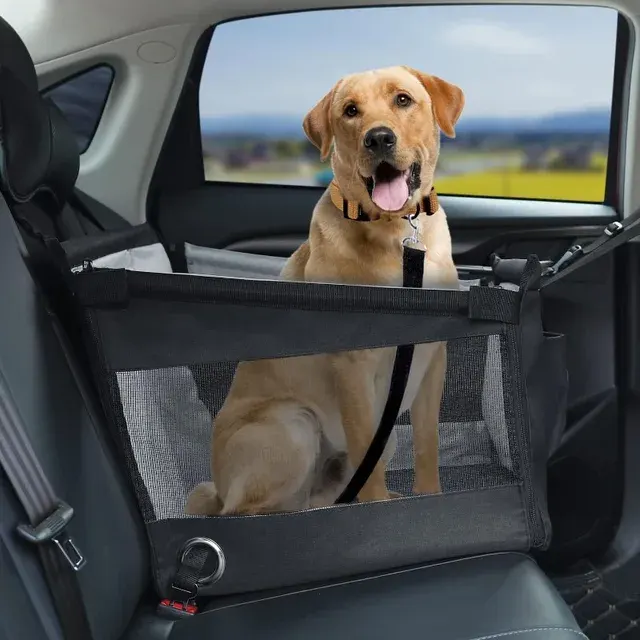 Hunde-Autotransportbox 2