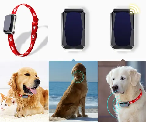 GPS-Hundehalsband