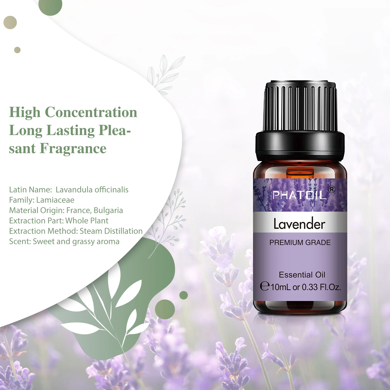 PHATOIL Natürliches Ätherisches Pflanzenöl 10 ml Eukalyptus Lavendel 2