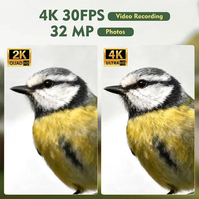 Smart Bird Feeder With Camera 3