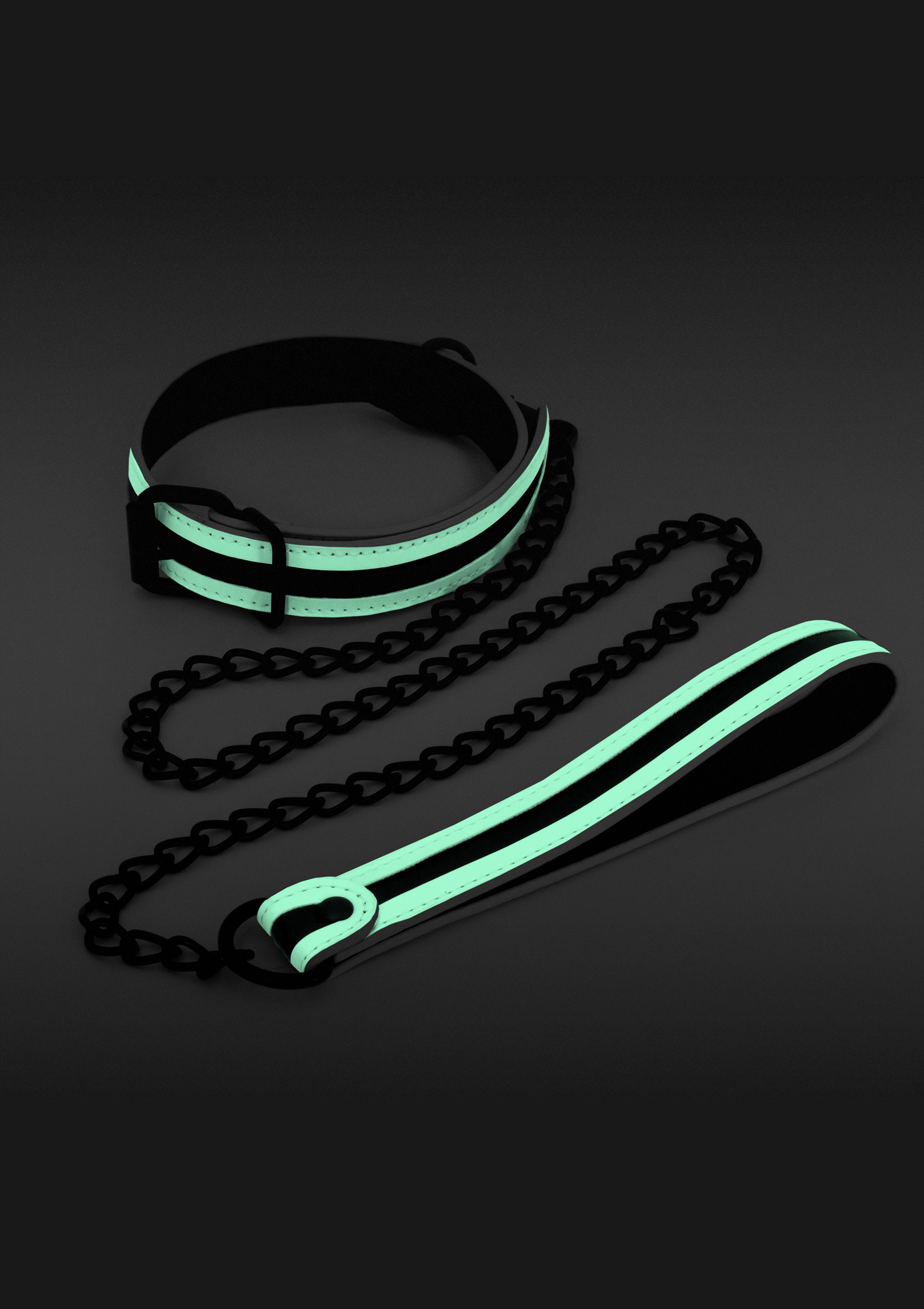 Collare Glo And Leash 3