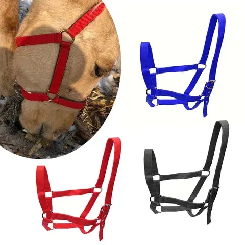 Adjustable Horse Halter