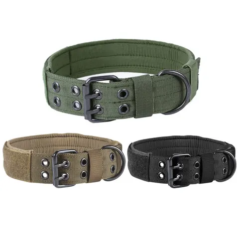 Dog Leash