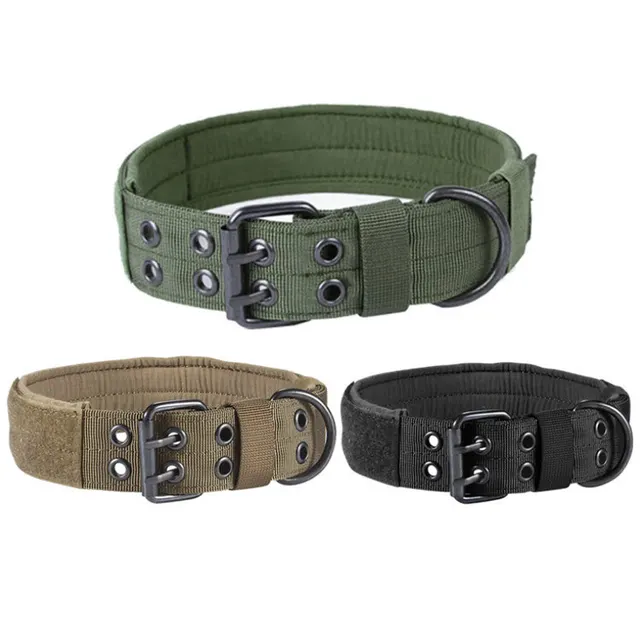 Dog Leash 1