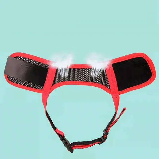 Dog Muzzle 1