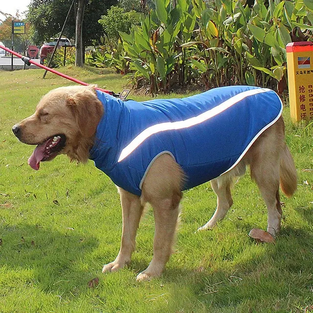 Reflective Dog Jacket 4