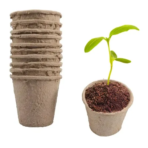 Paper Seed Starter Pot
