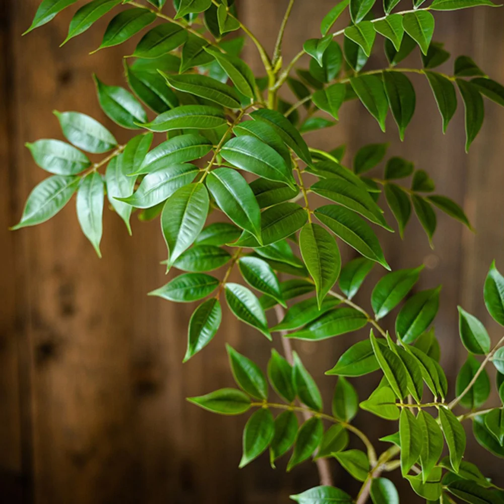 Künstlicher Ficus-Zweig 4