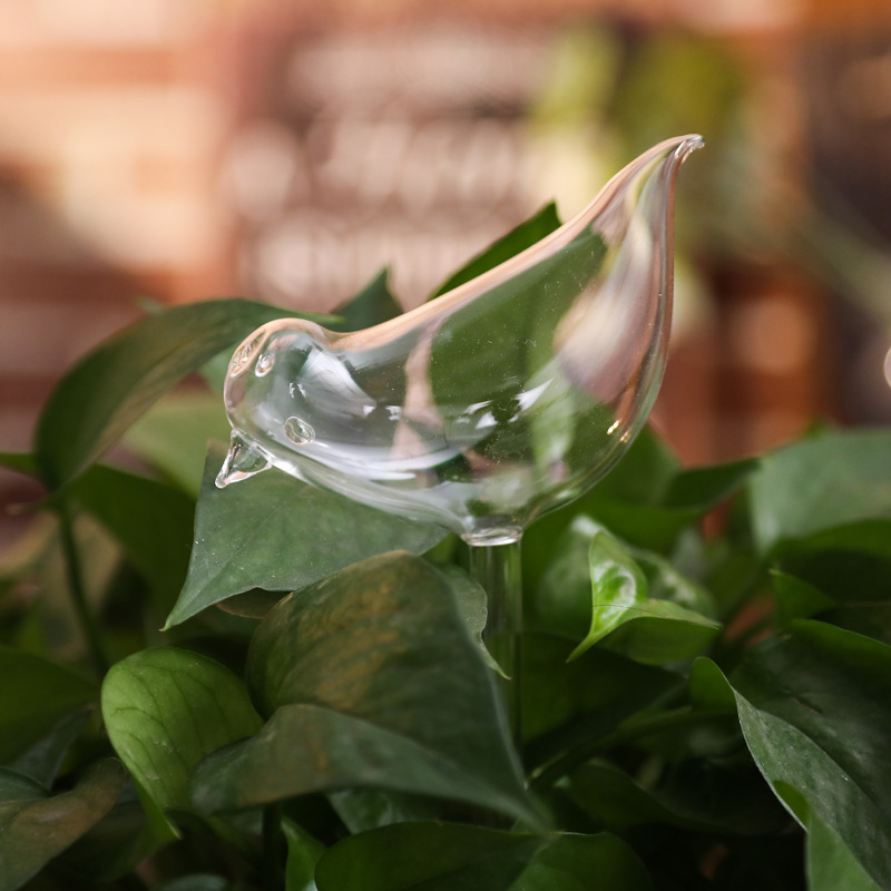 Glass Self-Watering Bulb for Potted Plants 2