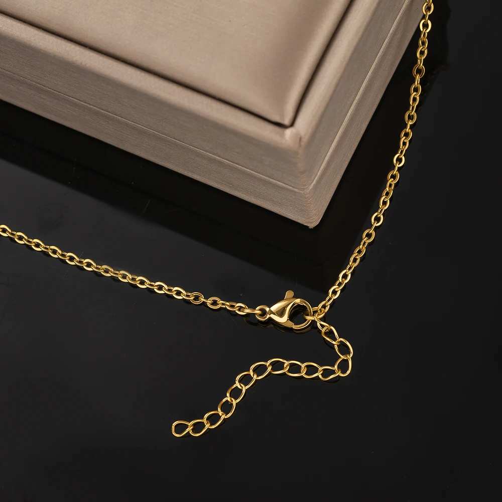 Gold Stainless Steel Link Chain Necklace 4