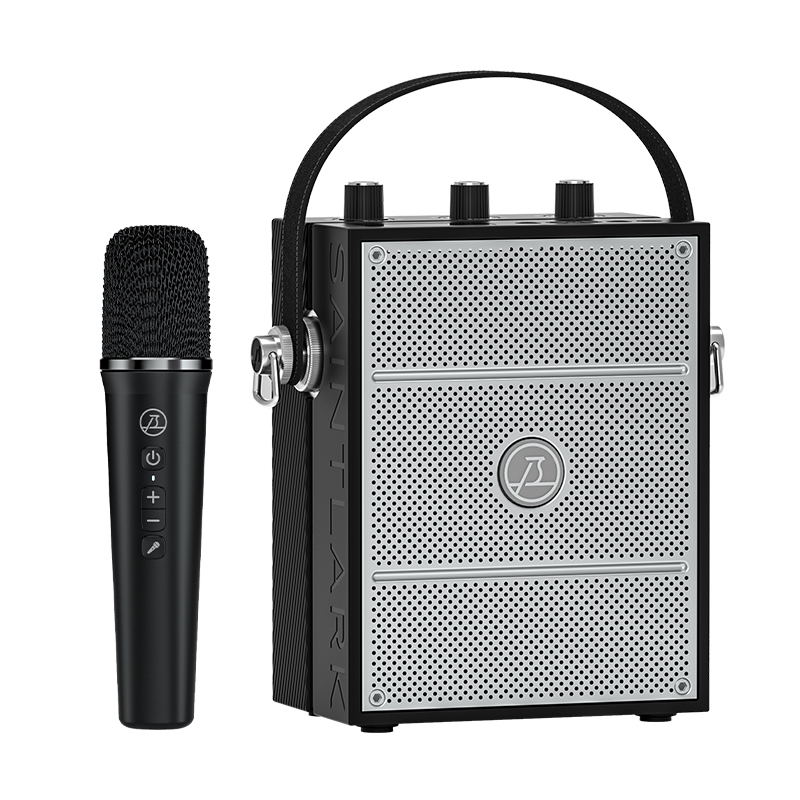 Bluetooth Speaker for Indoor and Outdoor Portable Party