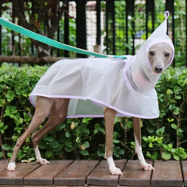 Hunde-Regenmantel 3