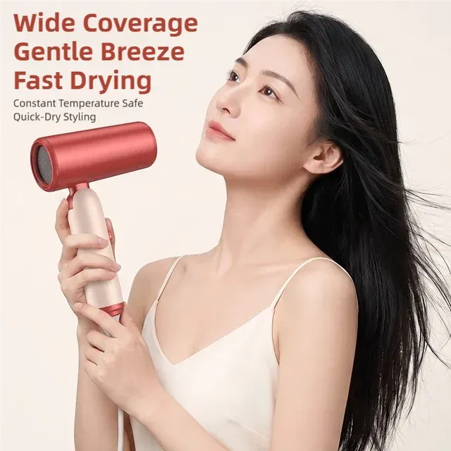 Ionic Hair Dryer 2