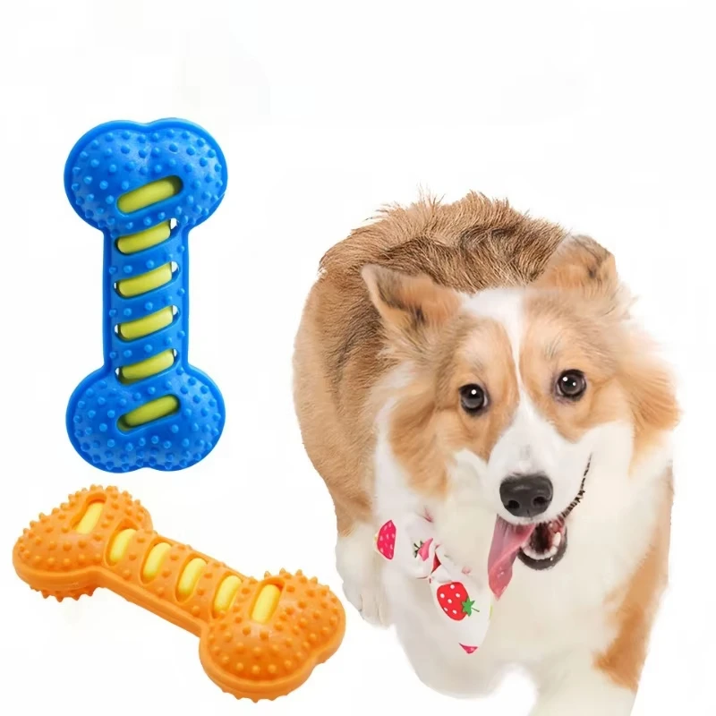 Durable Rubber Bone Chew Toy for Puppies 4