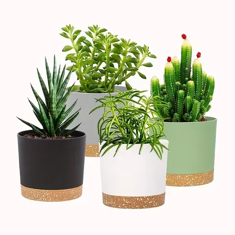 plant pot