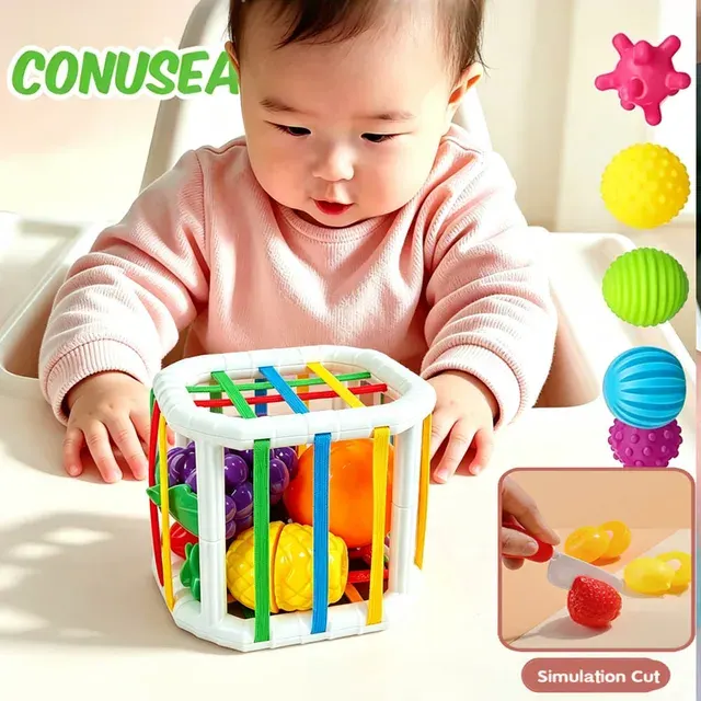 Baby Sorting Toy 2