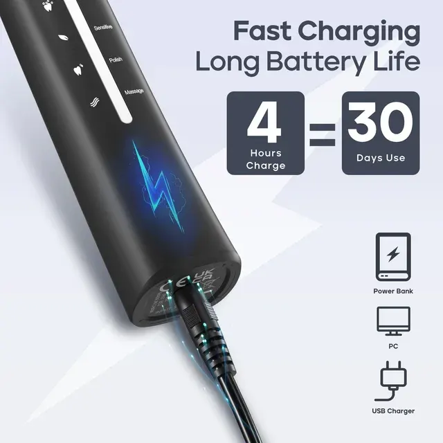 Electric Sonic Toothbrush with 10 Heads 4