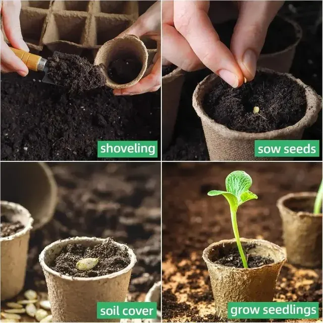 Biodegradable Paper Seed Starter Pots 4