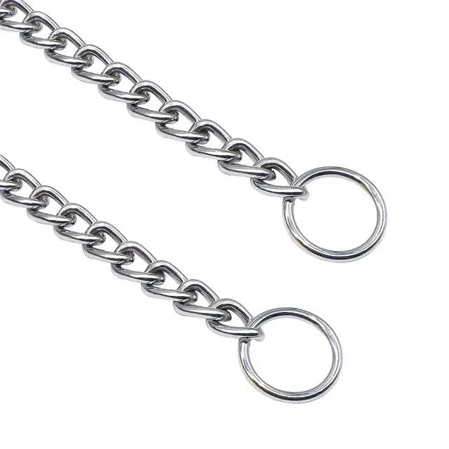 Personalized Dog Collar 4