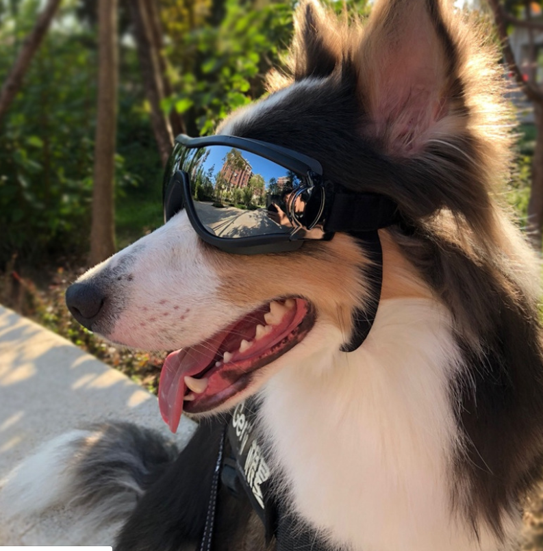 Pet Glasses dog Supplies Goggles Waterproof Windproof Sunscreen