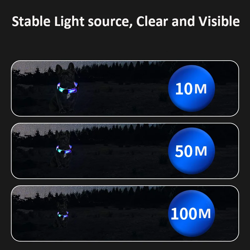 Pet Light-up Kragen Leine LED Blinkende USB Lade 4