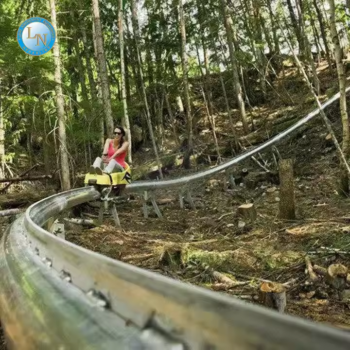 Alpine Single Rail Roller Coaster Toy 3