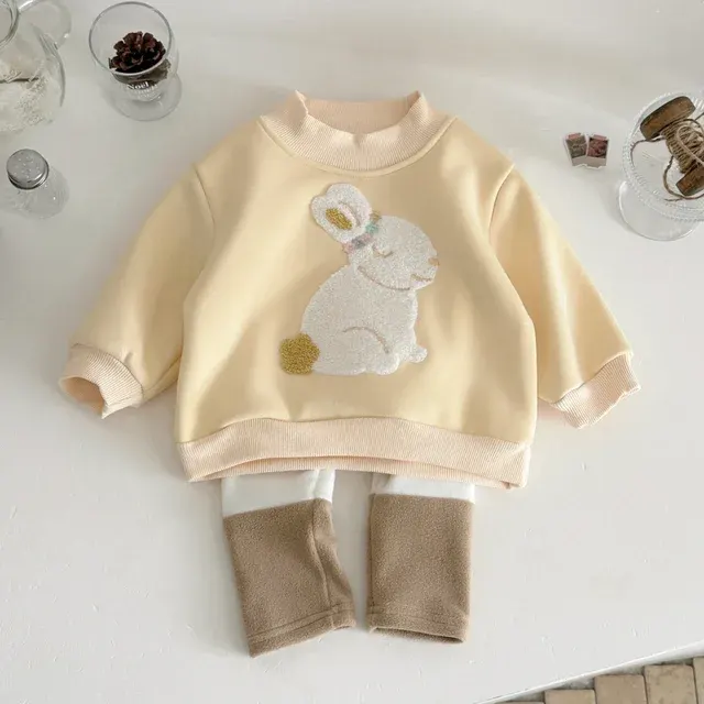 Toddler Sweatshirt and Pants Set 2