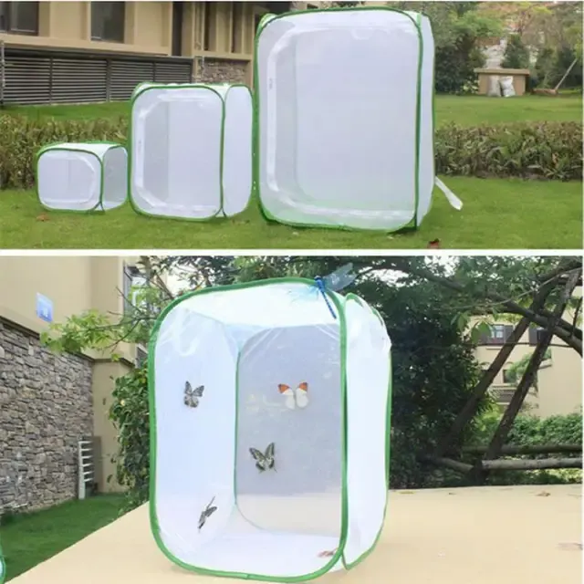 Foldable Insect Cage 3