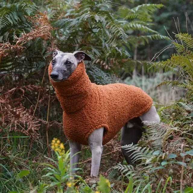 Fleece Dog Sweater 3
