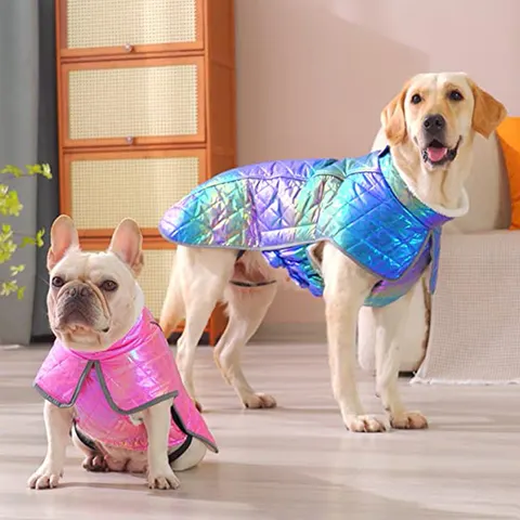 Hundekleidung