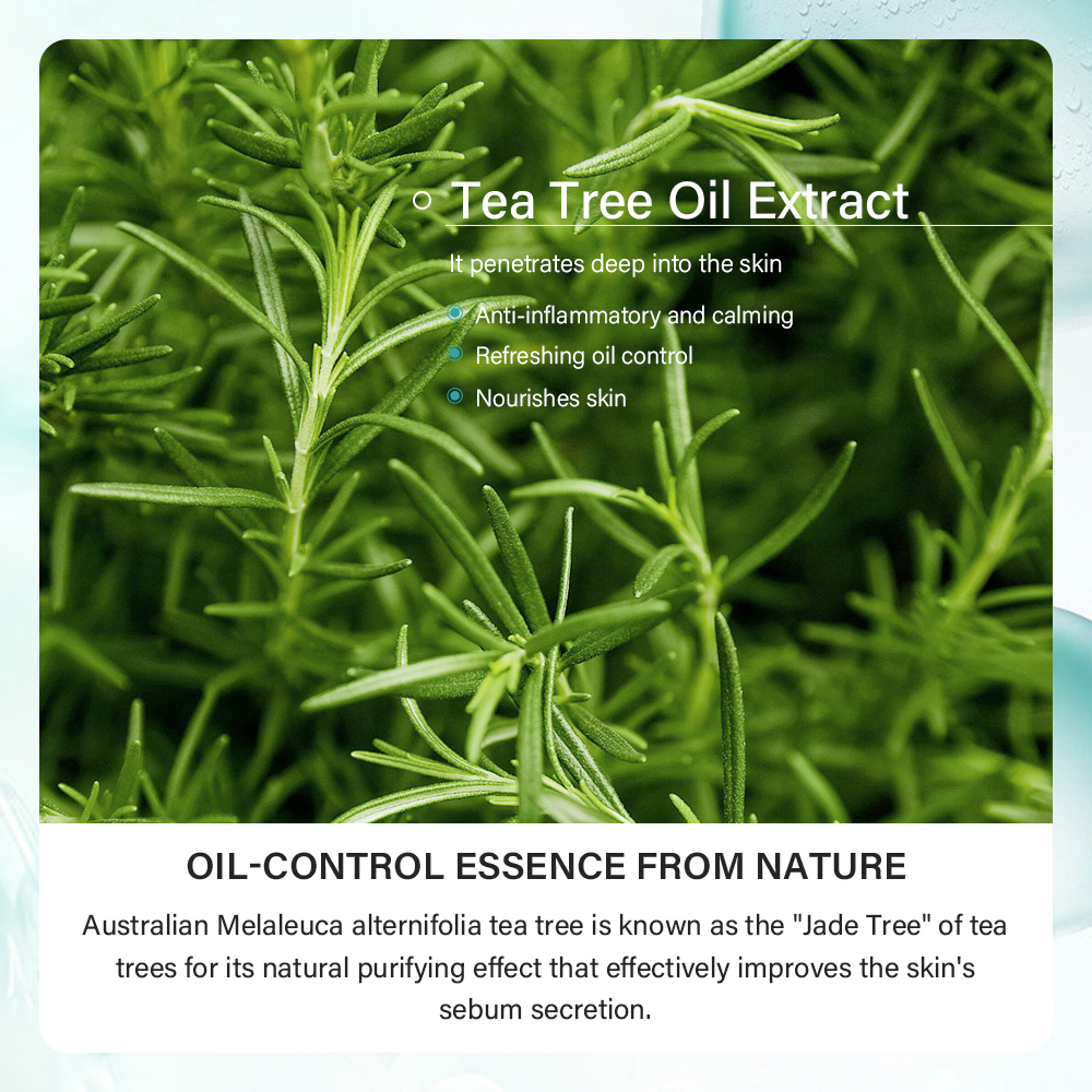 Tea Tree Salicylic Acid Korean Skincare Acne Removal 4