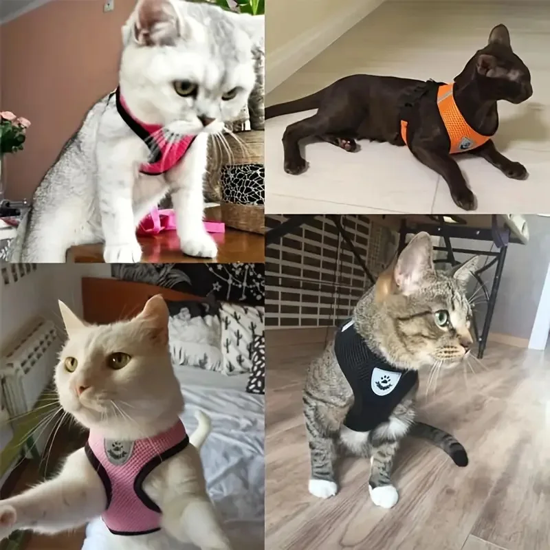 Breathable Mesh Harness for Small Dogs 2