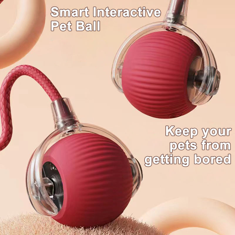 Interactive Motion Pet Ball Toy 2