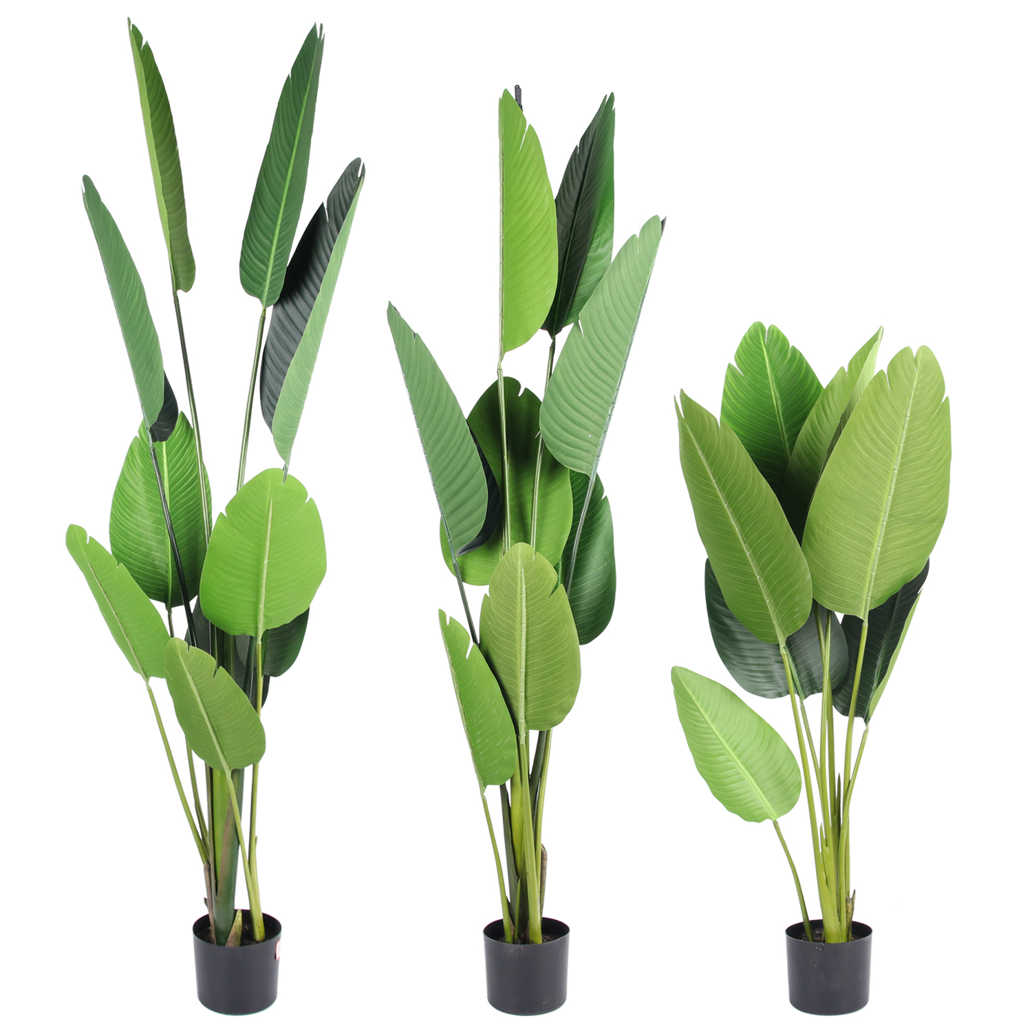 Artificial Bird of Paradise Plant 1.8m with Pot 4