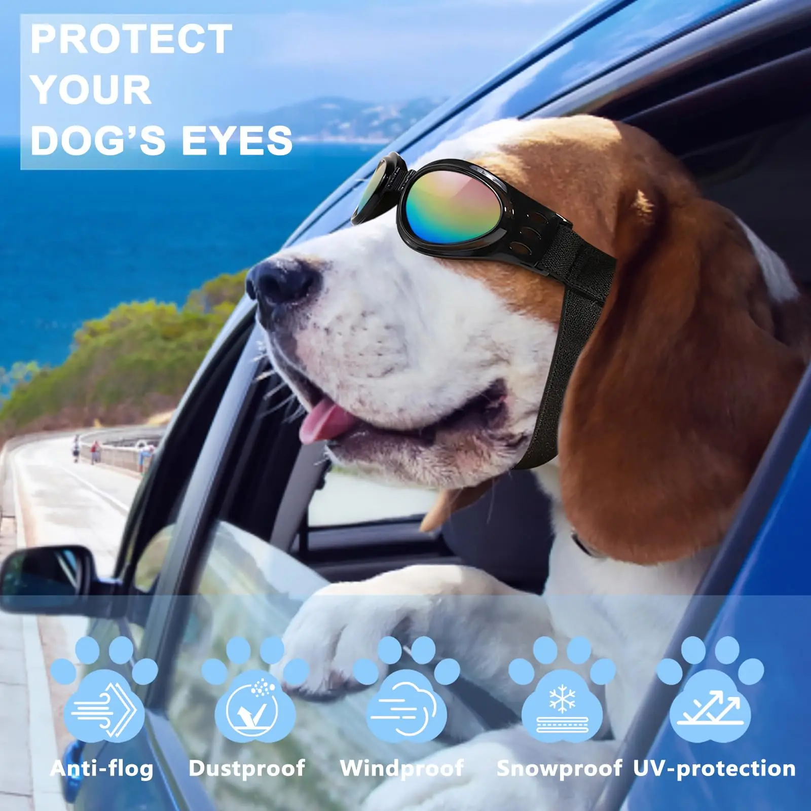 Hunde-Sonnenbrille 3