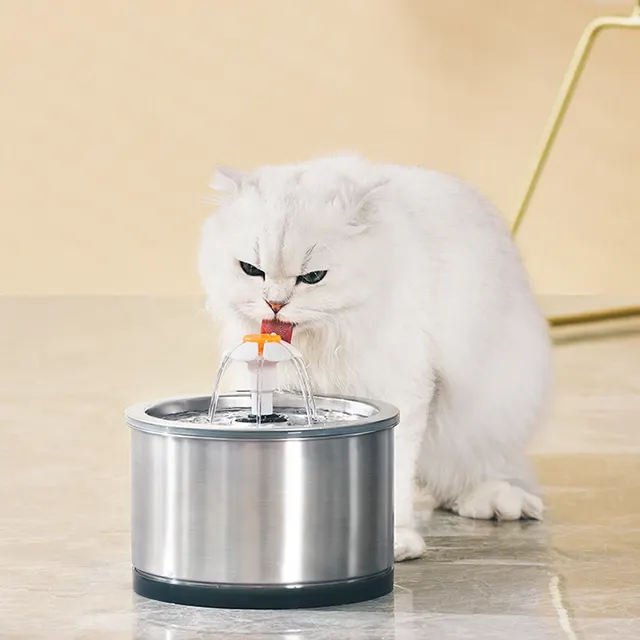 Dog Water Bowl 2