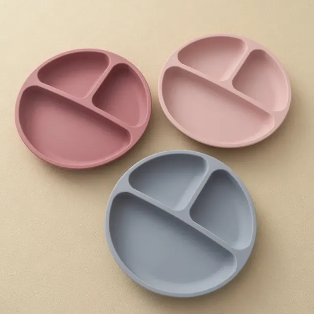 Silicone Suction Cup Plate 2