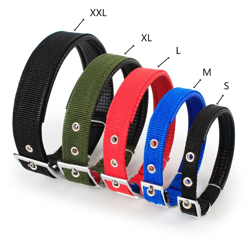 Solid Nylon Collar for Pitbulls and Beagles 4