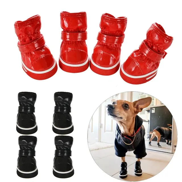 Hundeschuhe 1