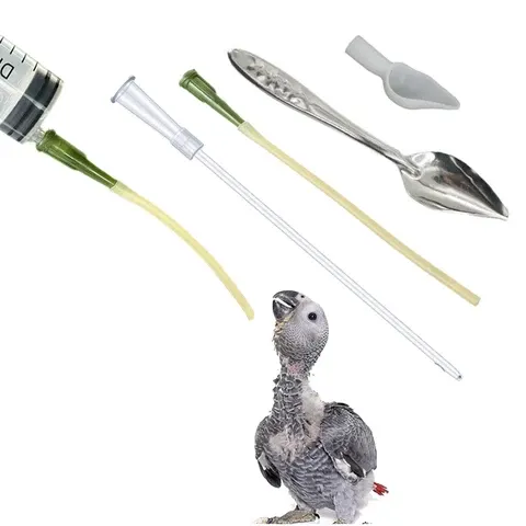 Vogelfütterungsspritze