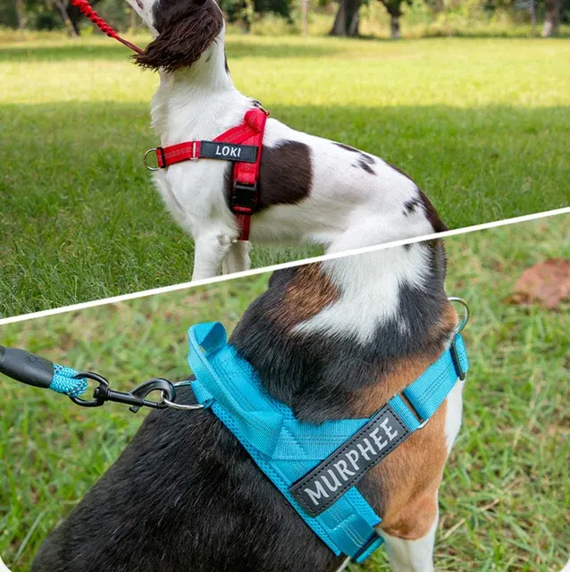 Hundegeschirr 4