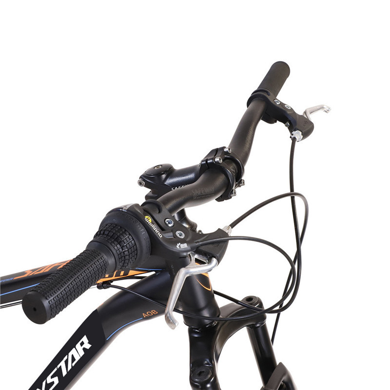 21-Gang Mountainbike 29 Zoll Federgabel 3