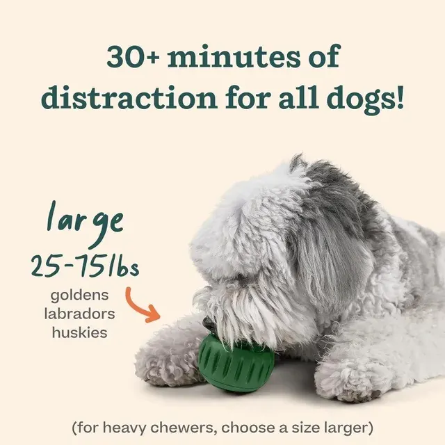 Dog Chew Toy 4