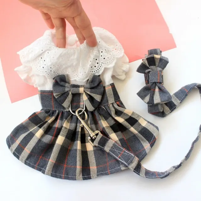 Dog Thin Skirt With Drawstring Chest Back 1