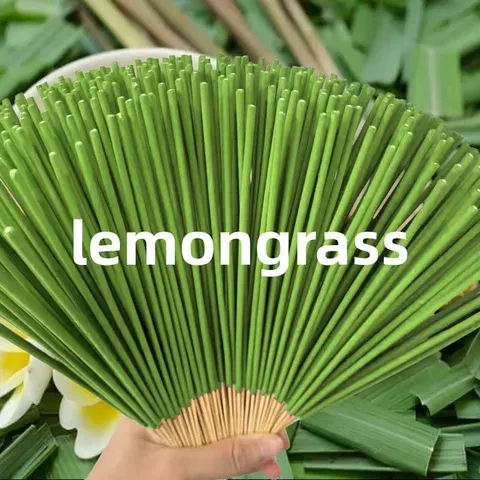 Citronella Sticks