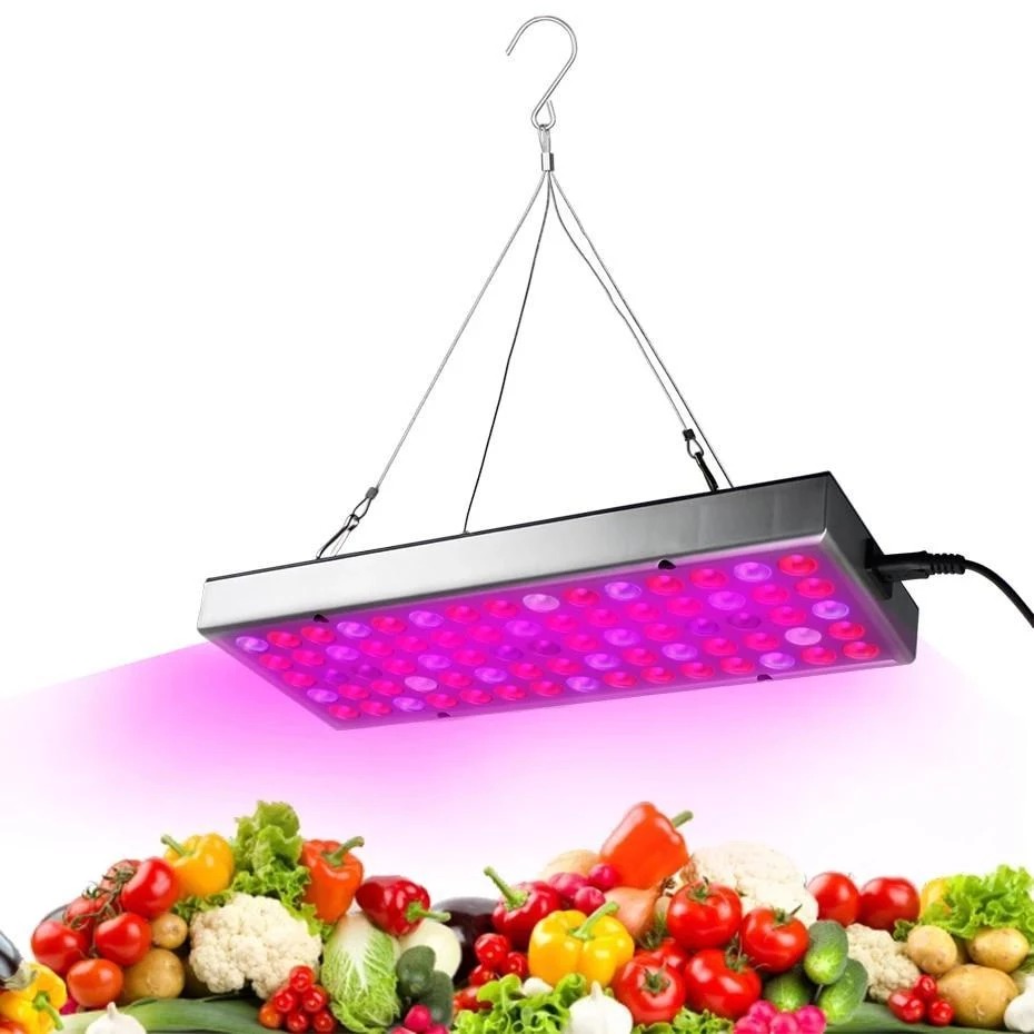 LED Grow Light for Seedlings in Greenhouse
