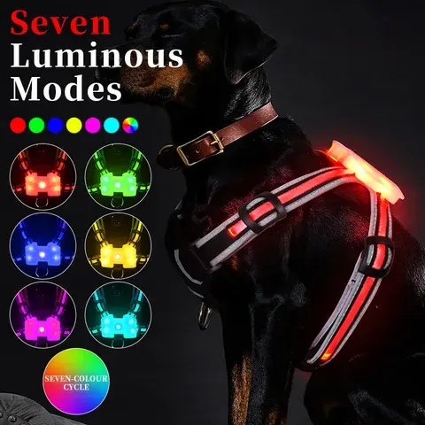LED-Hundegeschirr