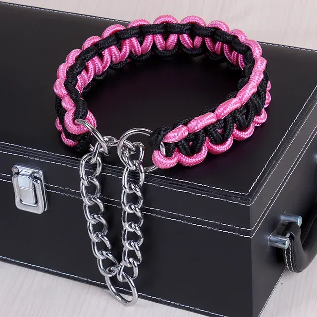 Hundehalsband 2
